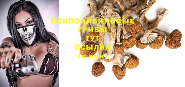 мдпв Арсеньев