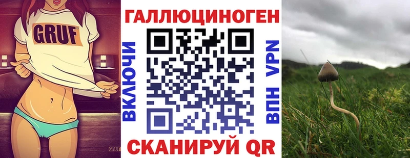 Псилоцибиновые грибы Psilocybine cubensis  Артёмовск 