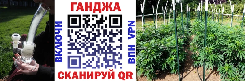 Бошки Шишки семена Артёмовск
